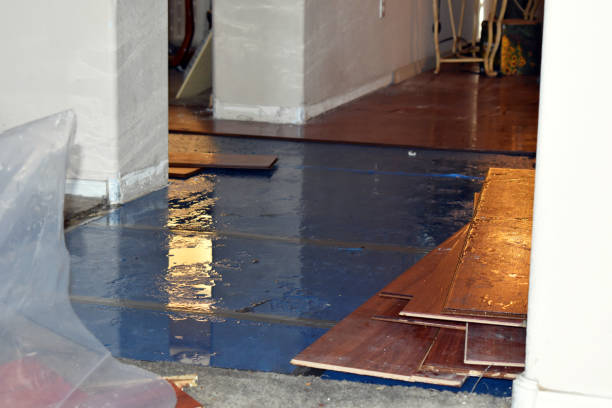 Professional Water Damage Repair technician working in Peapack, NJ